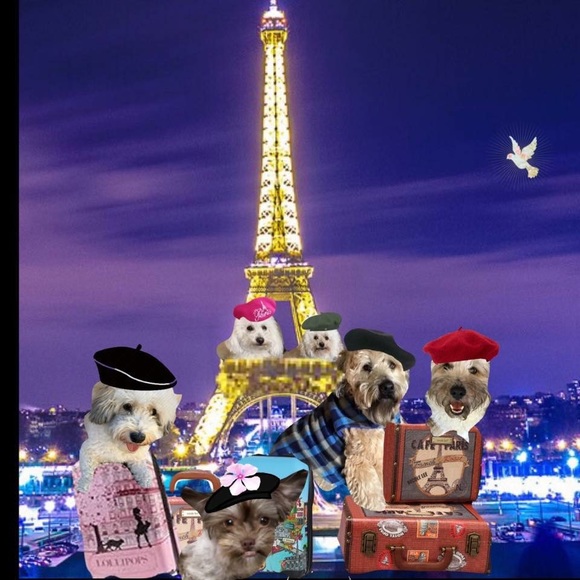 👜  Bijou’s Accessories!  🧳 - Picture 5 of 15